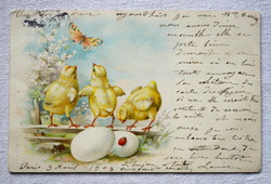 Antik lithográf  Húsvéti üdvözlő képeslap  csibék lepke tojás katica
