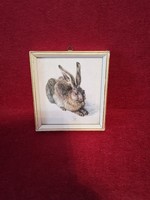 Rabbit image graphics