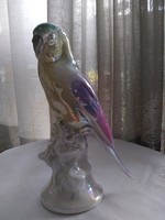 Rendkívül ritka Grafenthal porcelán papagáj