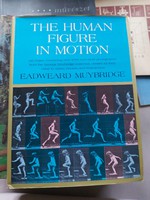 Nagy könyv 4789 fotó, a mozgásban lévő emberi test The human figure in motion, Eadweard Muybridge