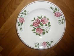Old floral pest on granite faience wall plate