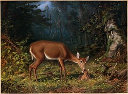 Arthur tait - maternal love (with deer kid) - canvas reprint