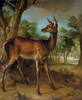 Jean oudry - the alert deer - canvas reprint