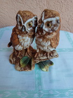 Owl couple