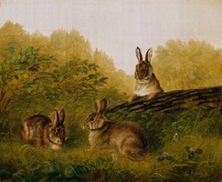 Arthur tait - rabbits on the log - canvas reprint