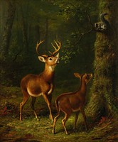 Arthur tait - the inhabitants of the forest - canvas reprint