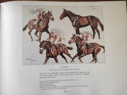 Peter Biegel's Racing Pictures 160 oldalon illusztrált lóverseny akvarell képes történelem angol