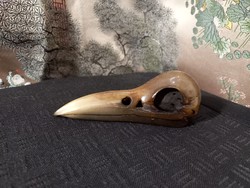Horn, bird skull carving