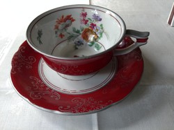 True rarity: carlsbad, germania tea cup + saucer. Beautiful!!!!