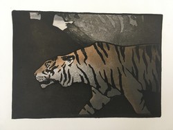 J. D. Batten: Tiger. Lithography ~ 1920