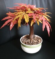 Bonsai ornamental tree / artificial plant