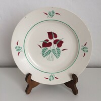 Virágmintás - Kála Gránit tányérok 2 db