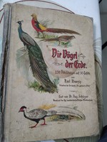 Die Vögel der Erde - A világ madarai - gót betűs német, illusztrált