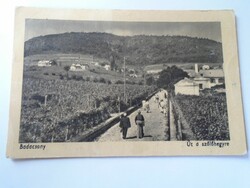 D190286   Régi képeslap  Balaton Badacsony Út a szőlőhegyre 1950's