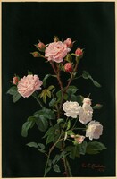George Lambdin - Rózsaszín és fehér Rózsák - vászon reprint vakrámán