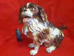 Alt Wien Ausztria Fischer & Mieg 1853-73,Pirkenhammer Cavalier King Charles Spániel Porcelán Figura.