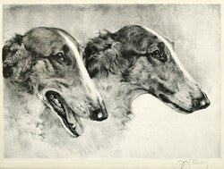 Mayer-Eberhardt, Két orosz agár 1930 körül, metszetről, reprint kutyás nyomat, kutya portré