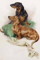 A. Wardle Dachshund 19. sz olajfestmény reprint nyomata, két tacskó barna fekete portré kutyás kép