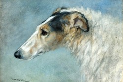 F. Fairman Orosz agár portré 1900, akvarell, reprint kutyás nyomat, kutya