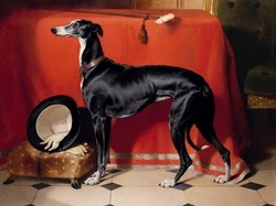 E. Landseer, eos, prince albert's favorite english agar 1941, oil painting, reprint dog print, greyhound