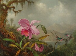 Martin Heade - Orchideák és Kolibri - vászon reprint