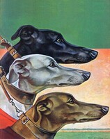 P. Bransom, Agarak, art deco festmény, reprint kutyás nyomat, három agár portré, fekete fehér barna