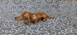 Old-fashioned rarity dachshund
