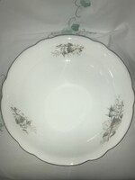 Garnished Schlaggenwald porcelain bowl painted with vignette
