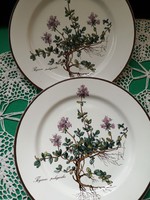 Villeroy & Boch Botanica süteményes tányér 2 db