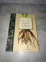 Francia könyv - Nagy képes füvészkönyv - Vadnövények herbáriuma