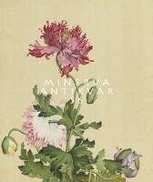 Lang Shining/G. Castiglione 18. sz. kínai selyem festmény reprint nyomat mákvirág pipacs botanika