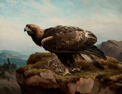 Von wright - golden eagle on the rock - canvas reprint on blindfold