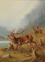 Moritz müller - roaring deer - canvas reprint on blindfold