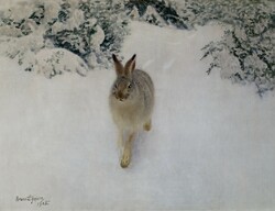 Liljefors - rabbit in winter - canvas reprint on blindfold