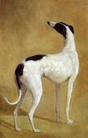 Jacques laurent agasse (1767-1849) greyhound, reprint dog print, dog whippet black and white