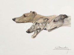 Leon danchin three greyhounds, engraving 1920, reprint dog print, portrait greyhounds english italian yellow white