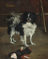 Manet - tama dog - canvas reprint on scratch card