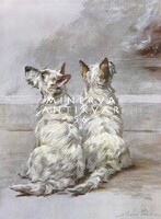 Maud Earl Két westie 1910, festmény reprint kutyás nyomat, west highland white terrier pár kutya