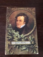 Schubert 1797-1828 Austrian romantic composer. Postcard based on a painting. 1918. Stamped.