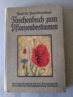 Dr paul graebner - taschenbuch zum pflanzenbestimmen c. German language book for sale!
