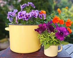 Yellow enamel pan and mug