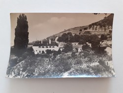 Old postcard 1957 badacsony vineyard detail photo postcard