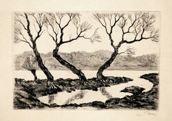 István Biai Föglein (1905-1974): trees along the Danube - etching, in original framing