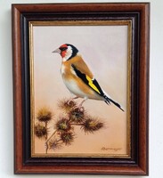 Half price obermayer (1965-) axle bird oil on canvas framed 31x24cm