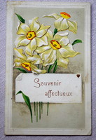 Antik francia dombornyomott üdvözlő képeslap  nárciszok