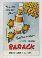 1J490 Kecskemét peach brandy brandy diploma shop advertising postcard