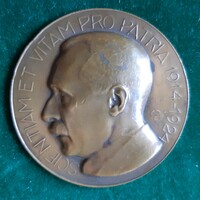 István Szentgyörgyi: dr. Tibor Verebély 1914-1924, bronze medal, plaque