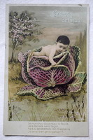 Antik francia üdvözlő fotó montázs képeslap baba káposztában