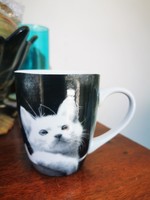 Kitten mug