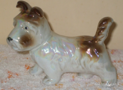 Foreing porcelain dog